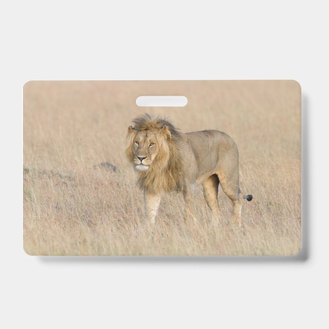 Lion walking ID badge (Front)