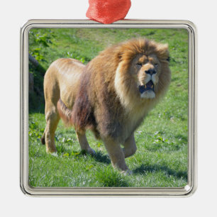 Lion walking on grass metal tree decoration