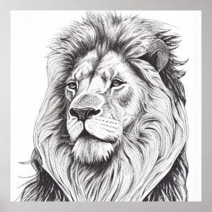 Lion Wild Nature Animal Illustration Art Drawing Poster