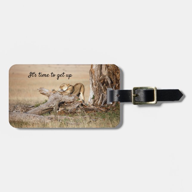 Lion wildlife photography Africa safari animal Luggage Tag (Front Horizontal)