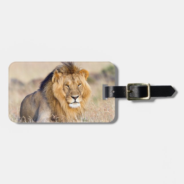 Lion wildlife photography Africa Safari animal Luggage Tag (Front Horizontal)