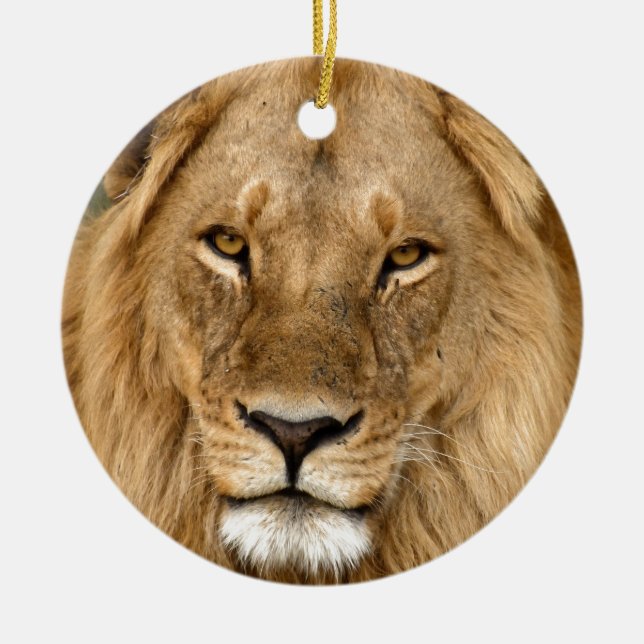 Lion With Great Mane Ceramic Tree Decoration (Front)