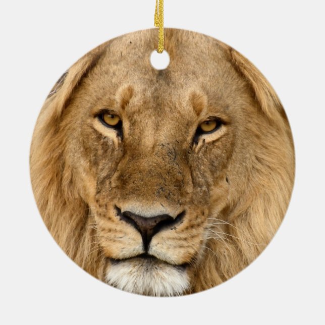 Lion With Great Mane Ceramic Tree Decoration (Back)