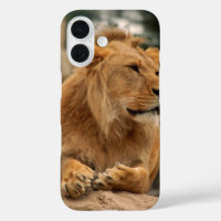 Lion with punk hair styles