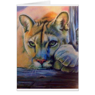 Lioness