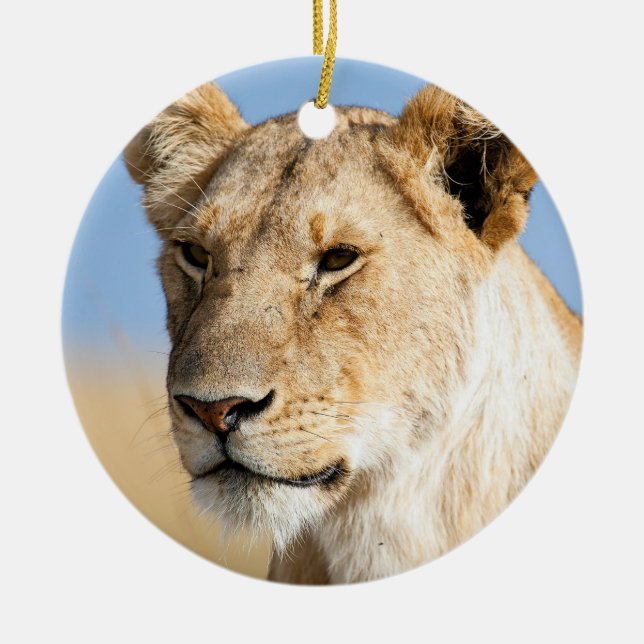 Lioness against blue sky ceramic tree decoration (Front)