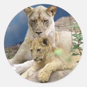 Lioness and Cub Sticker