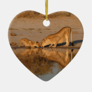 LIONESS AND CUB TAKING A REFLECTED DRINK CERAMIC TREE DECORATION