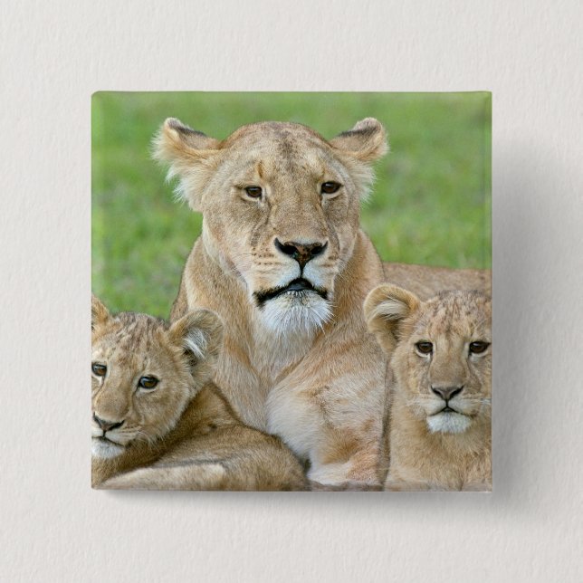 Lioness and Two Cubs, East Africa, Tanzania, 15 Cm Square Badge (Front)