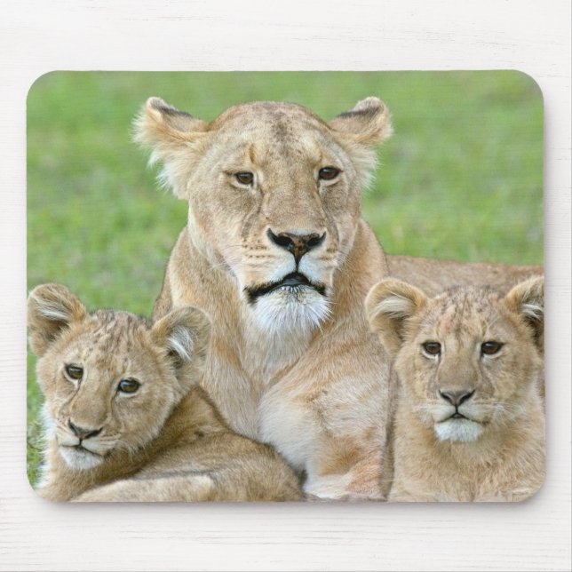 Lioness and Two Cubs, East Africa, Tanzania, Mouse Pad (Front)