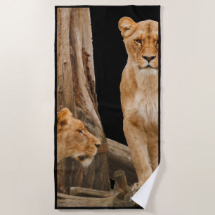 Lioness Beach Towel