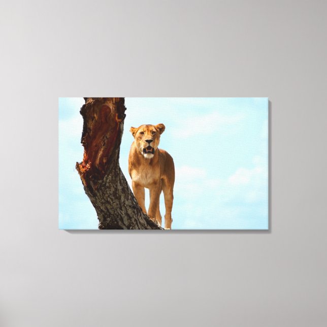 Lioness Canvas Print (Front)