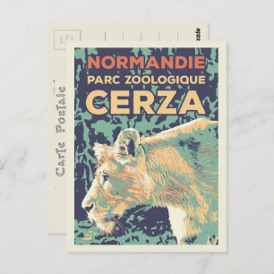 Lioness, Cerza Zoological park in Normandy France Postcard