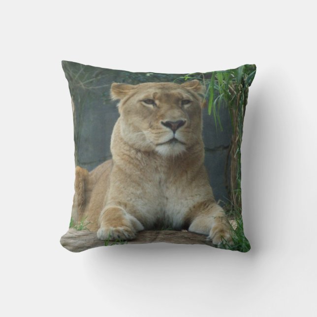 Lioness Cushion (Front)