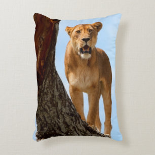 Lioness Decorative Cushion