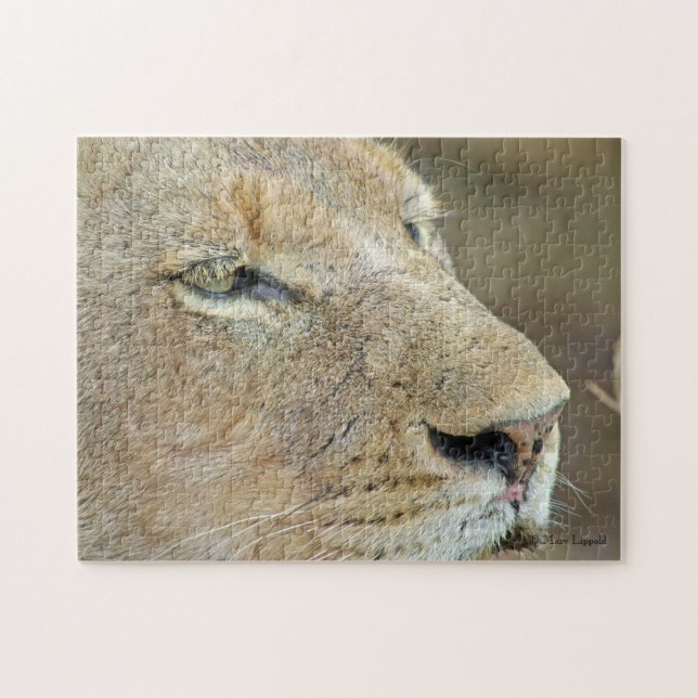 Lioness Face Jigsaw Puzzle (Horizontal)