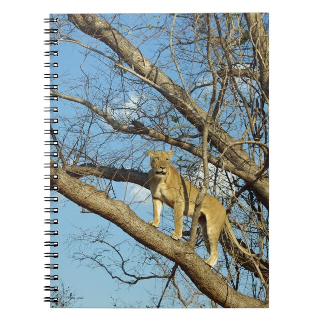 Lioness in a Tree Notebook (Front)