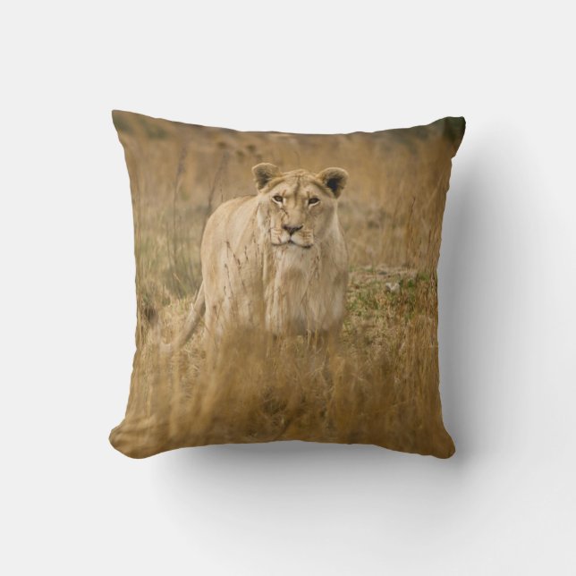LIONESS IN THE GRASS CUSHION (Front)