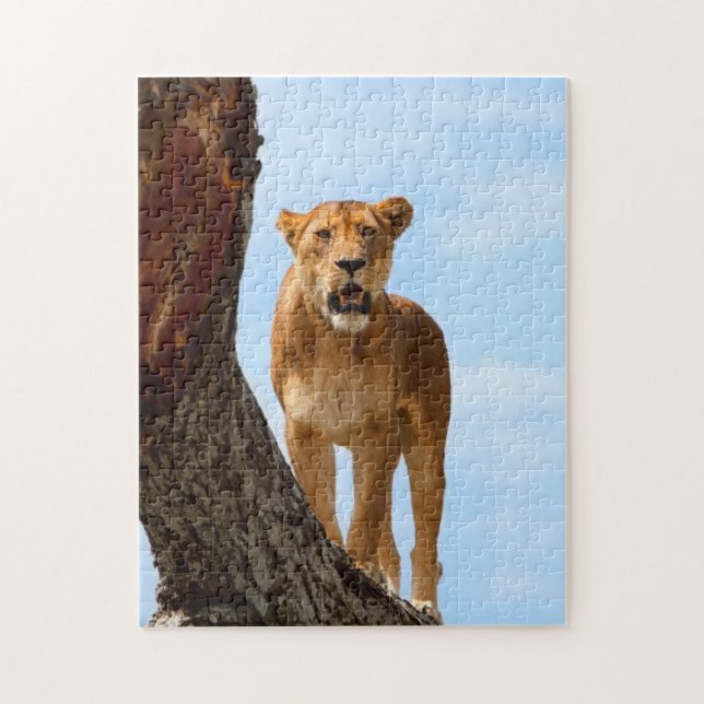 Lioness Jigsaw Puzzle (Vertical)