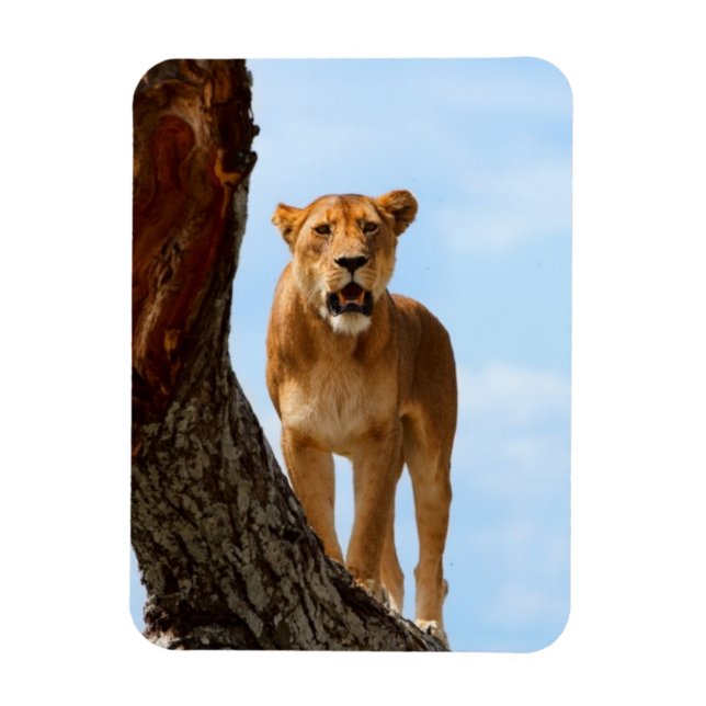 Lioness Magnet (Vertical)