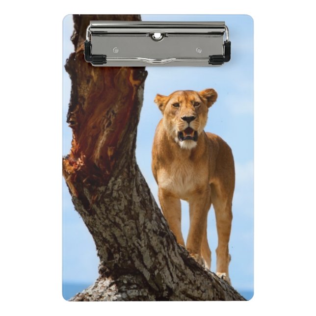 Lioness Mini Clipboard (Front)