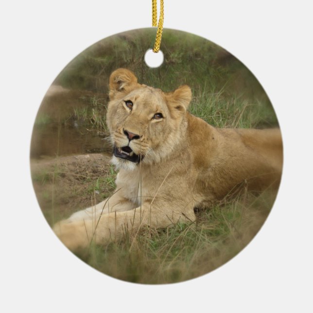 Lioness Ornament (Front)