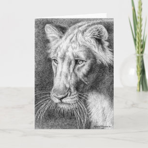 Lioness Pen Drawing Greeting Card
