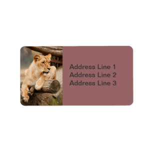 Lioness Photo Label
