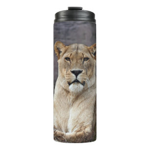 LIONESS RELAXING THERMAL TUMBLER