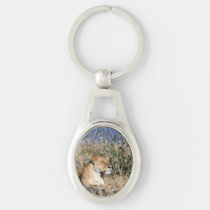 Lioness resting key ring