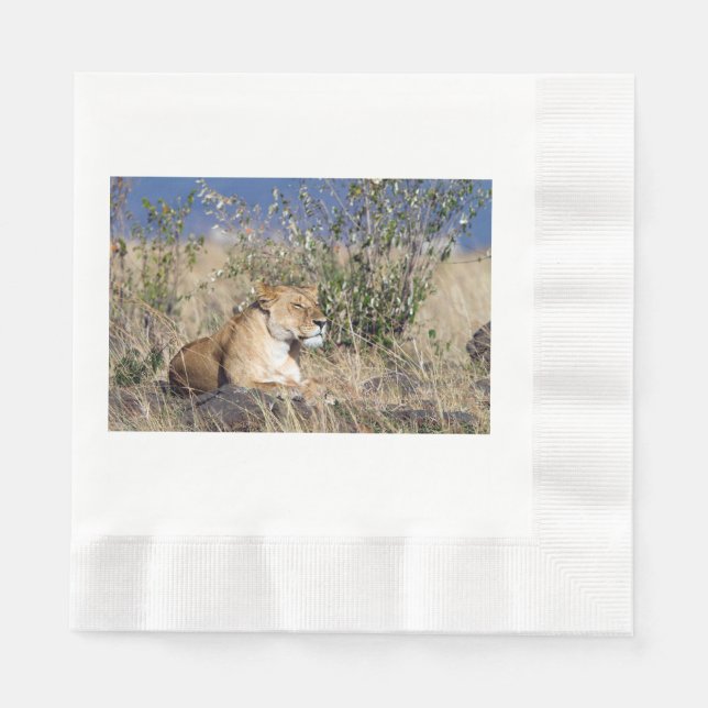 Lioness resting napkin (Front)