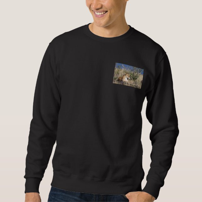 Lioness resting sweatshirt (Front)