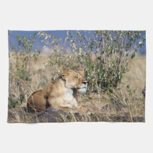 Lioness resting tea towel