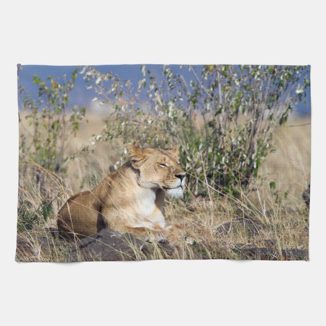 Lioness resting tea towel (Horizontal)