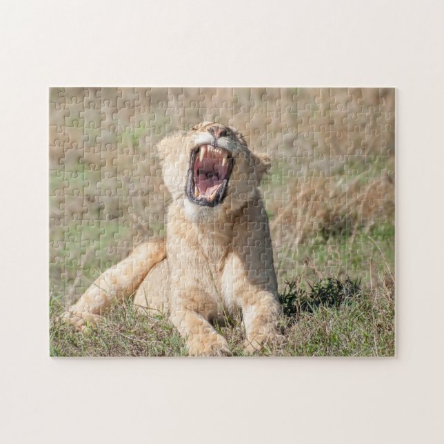 Lioness Roaring Puzzle (Horizontal)