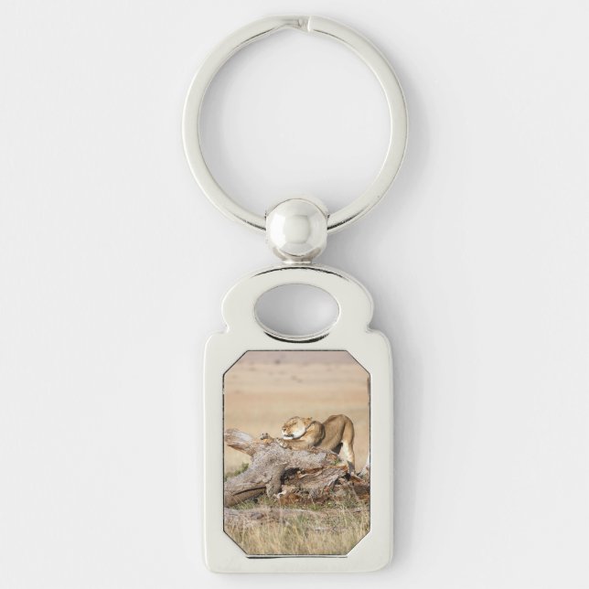 Lioness stretching key ring (Front)