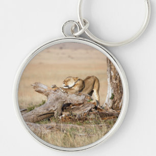 Lioness stretching key ring