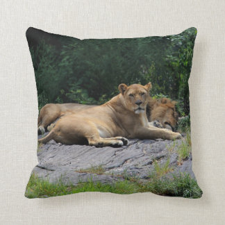 Lioness with Sleeping Lion Photo Cushion