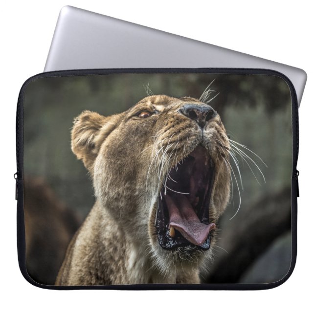 LIONESS YAWNING LAPTOP SLEEVE (Front)
