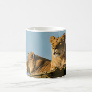 Lionesses Coffee Mug