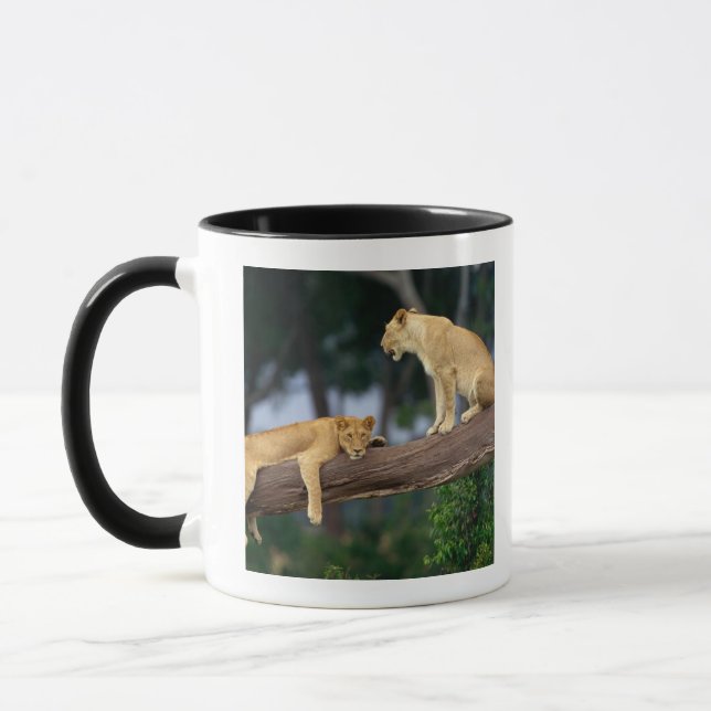 Lionesses in a tree mug (Left)