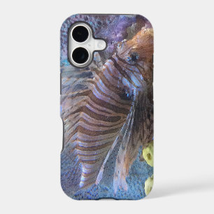 Lionfish