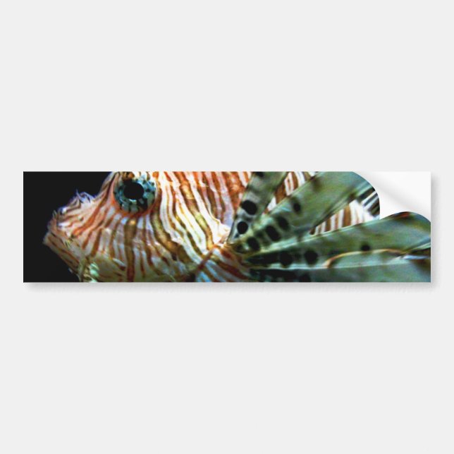 Lionfish Bumper Sticker (Front)