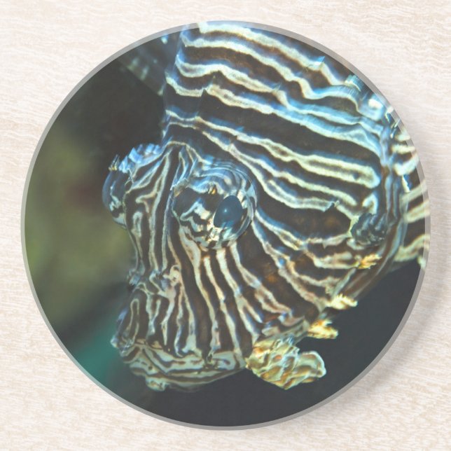 Lionfish Coaster (Front)