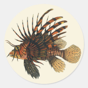 Lionfish Fish, Vintage Marine Ocean Life Animal Classic Round Sticker