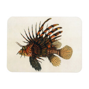 Lionfish Fish, Vintage Marine Ocean Life Animal Magnet
