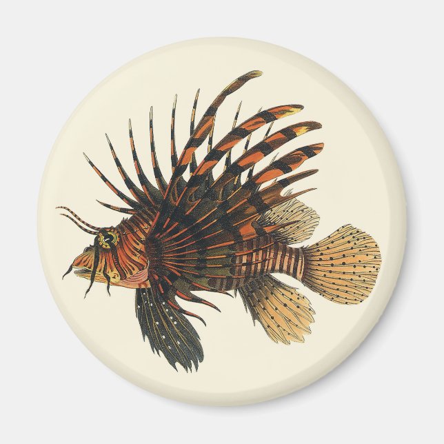Lionfish Fish, Vintage Marine Ocean Life Animal Magnet (Front)