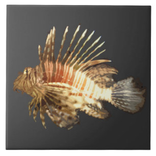 Lionfish in the dark tile