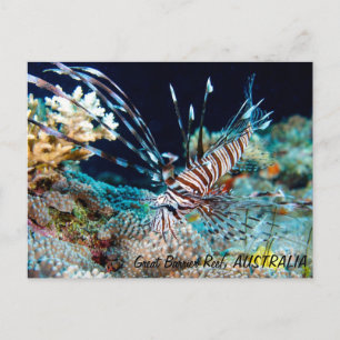 Lionfish on the Great Barrier Reef Postcard