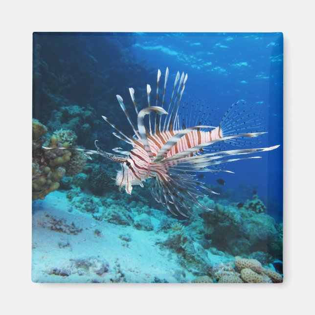 Lionfish or Pterois Miles, Ocean Reef Fish Magnet (Front)